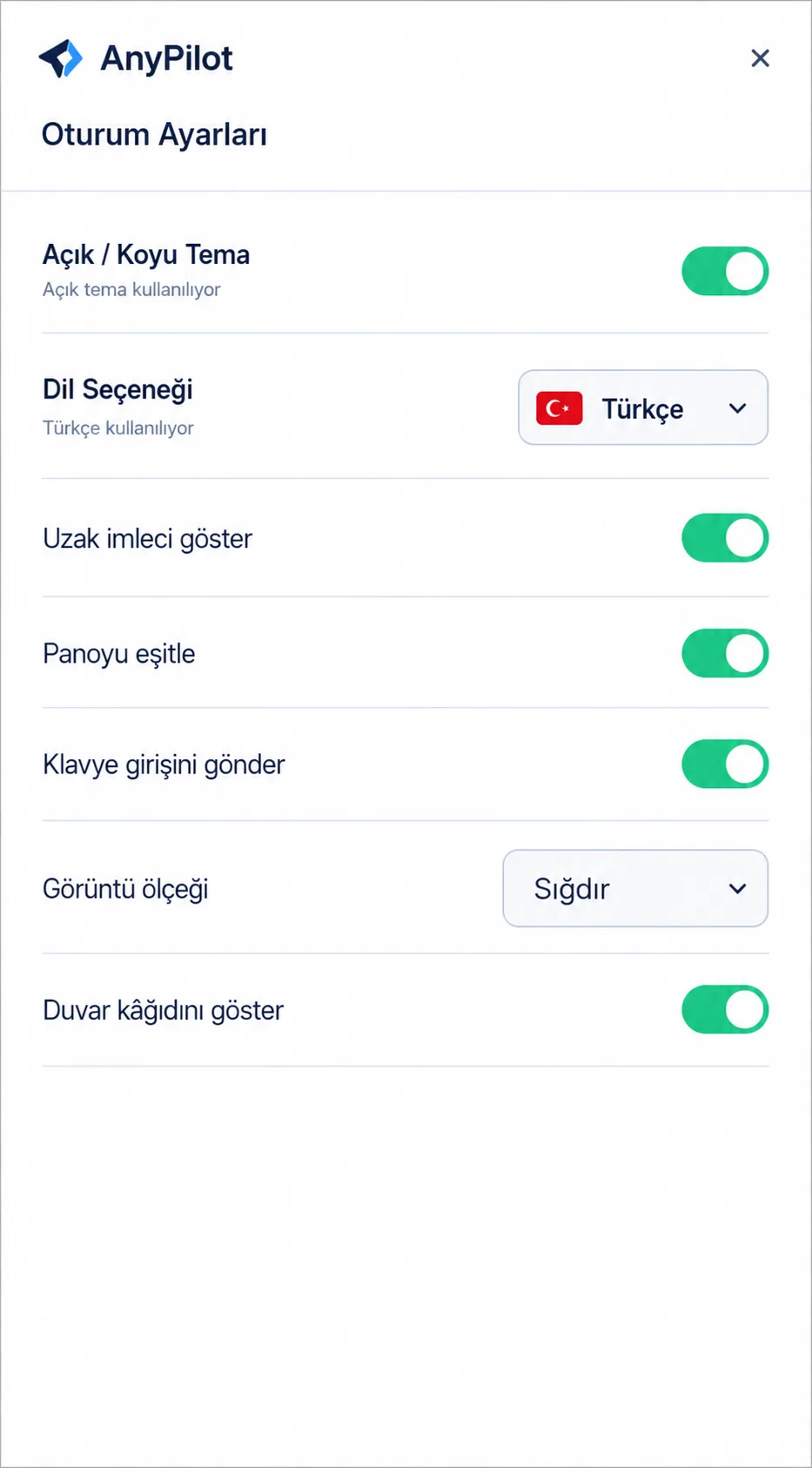 Basit ana ekran